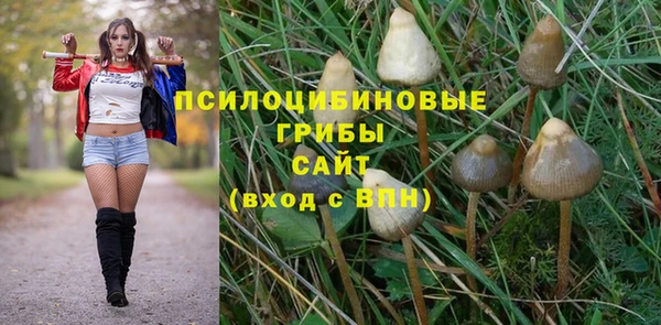 гашик Аркадак
