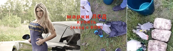 прущий лед Арсеньев